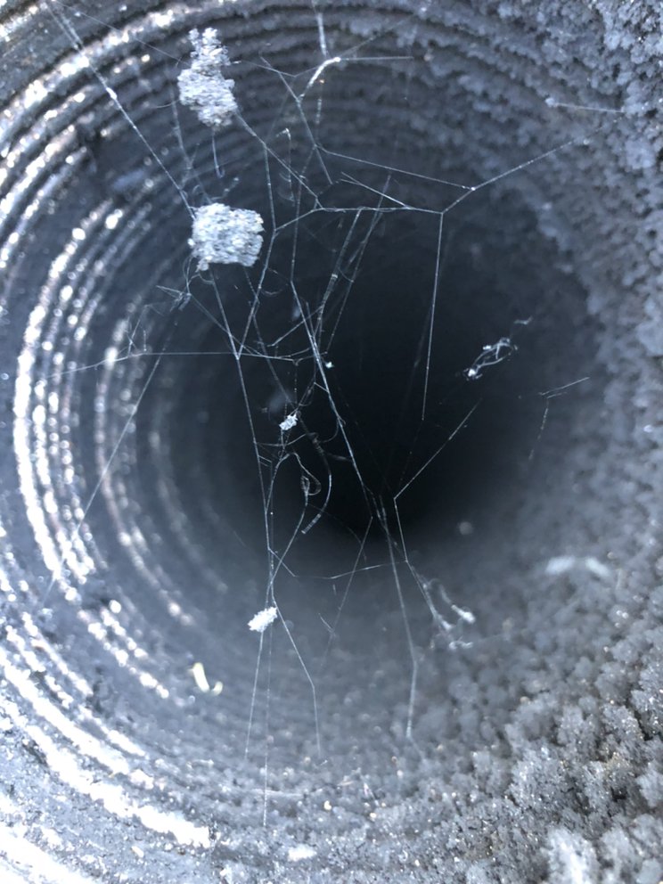 Project photo 21