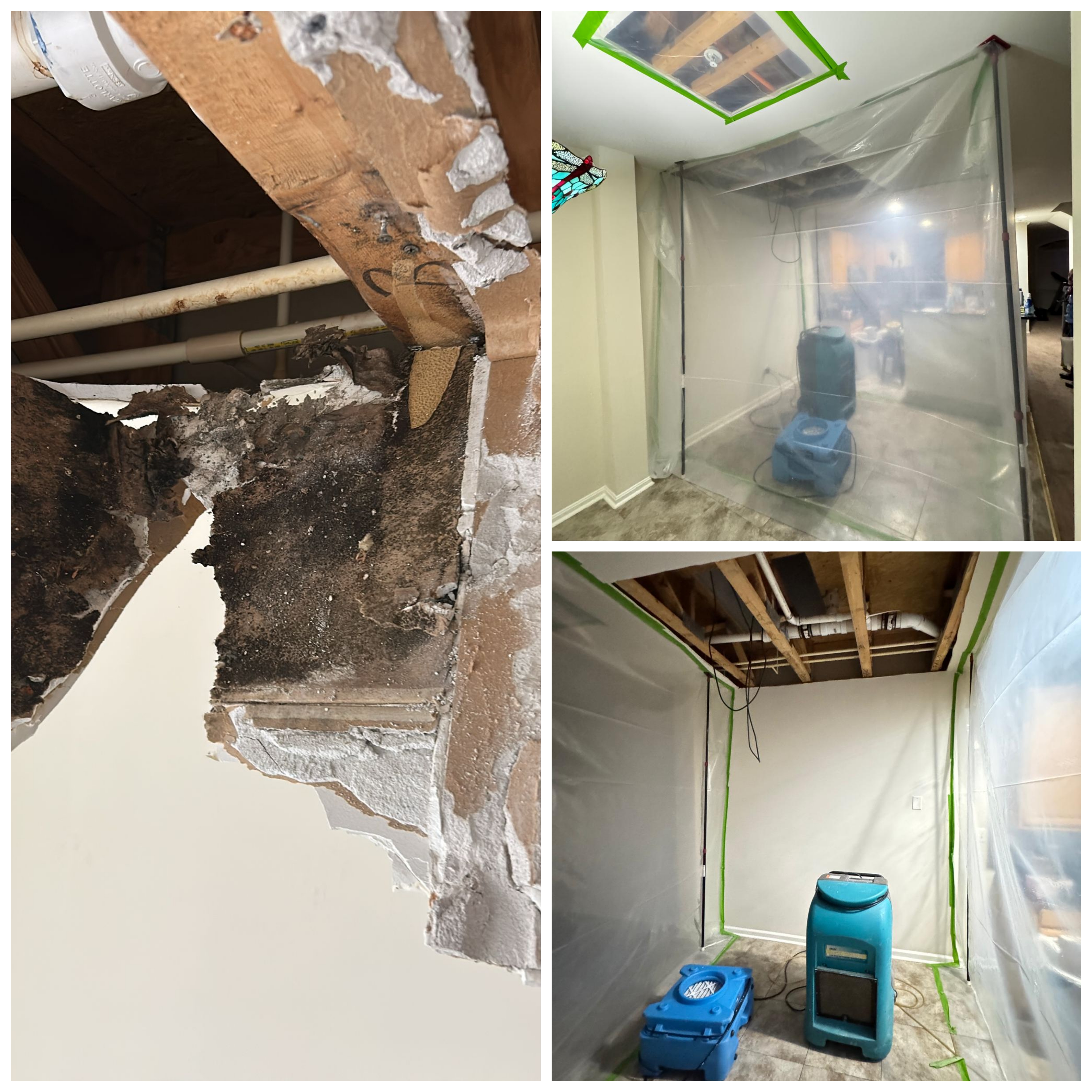 Project photo 14