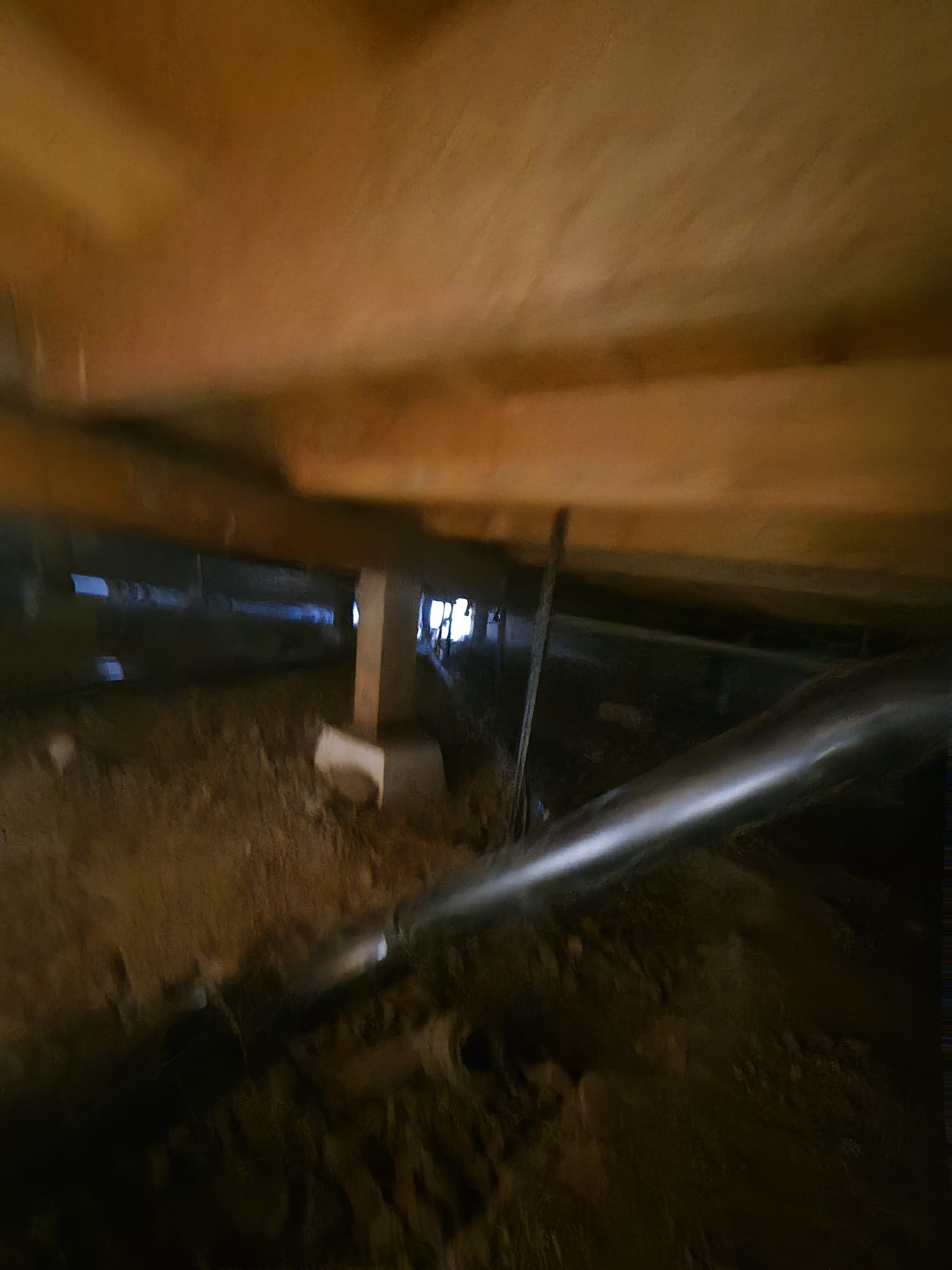 Project photo 53