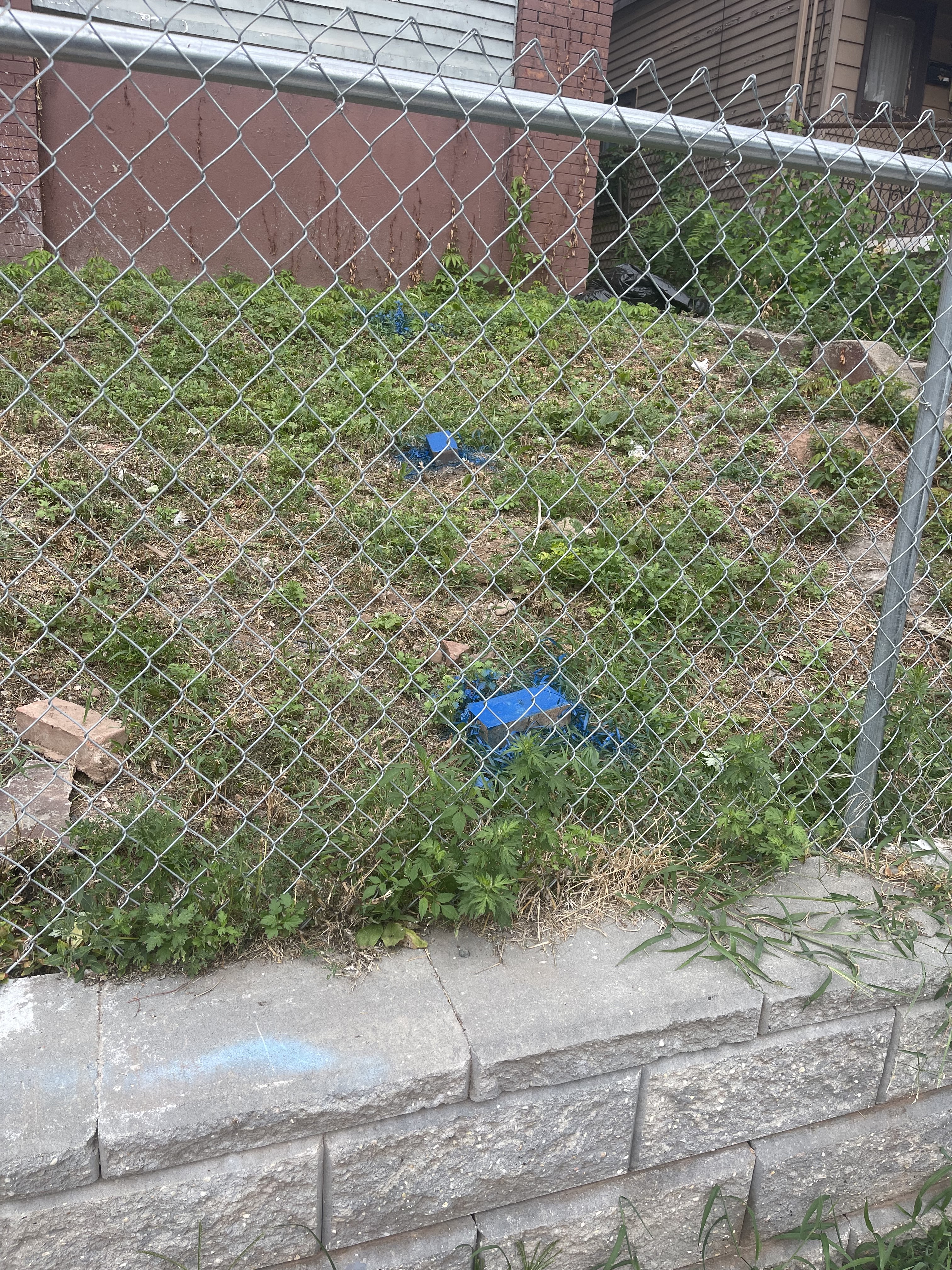Project photo 194
