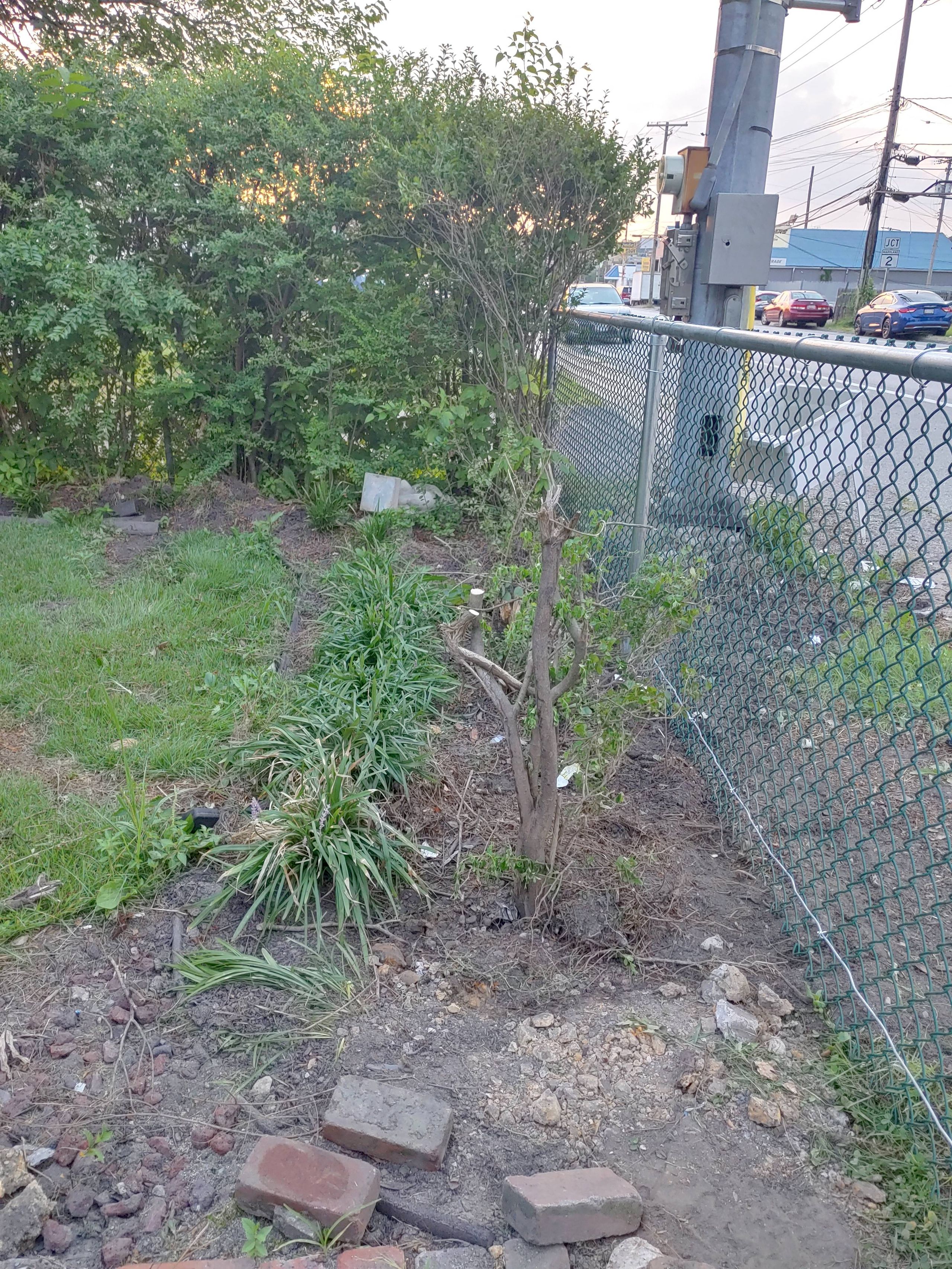 Project photo 66