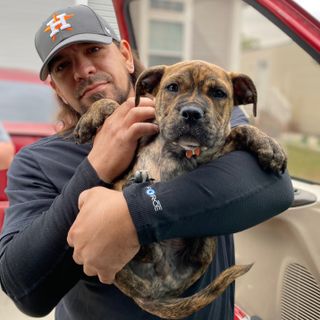 Hi Tech Restoration LLC