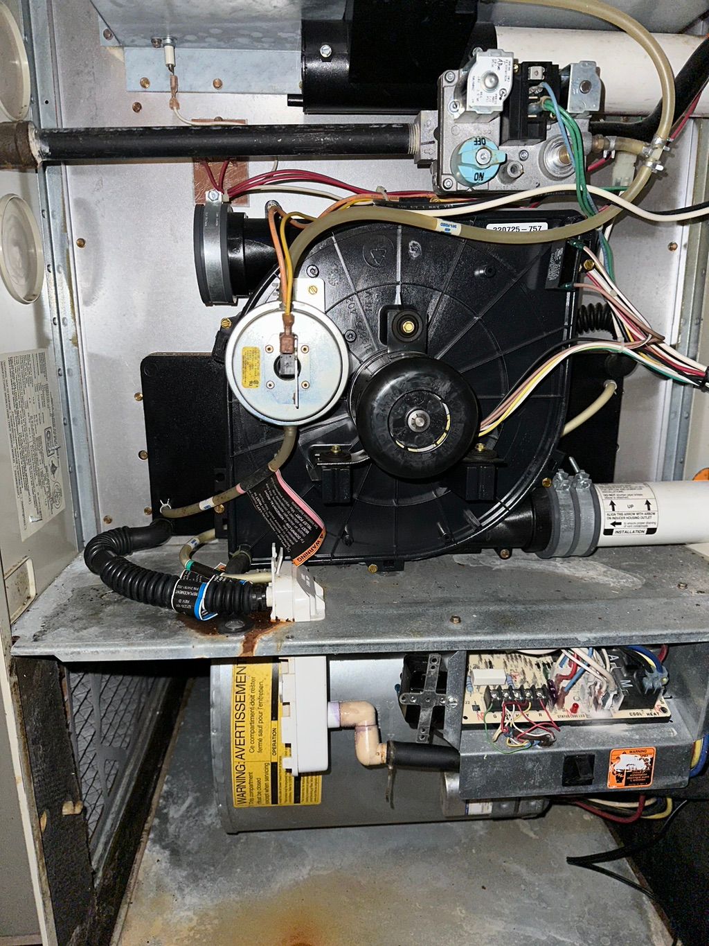 Project photo 16