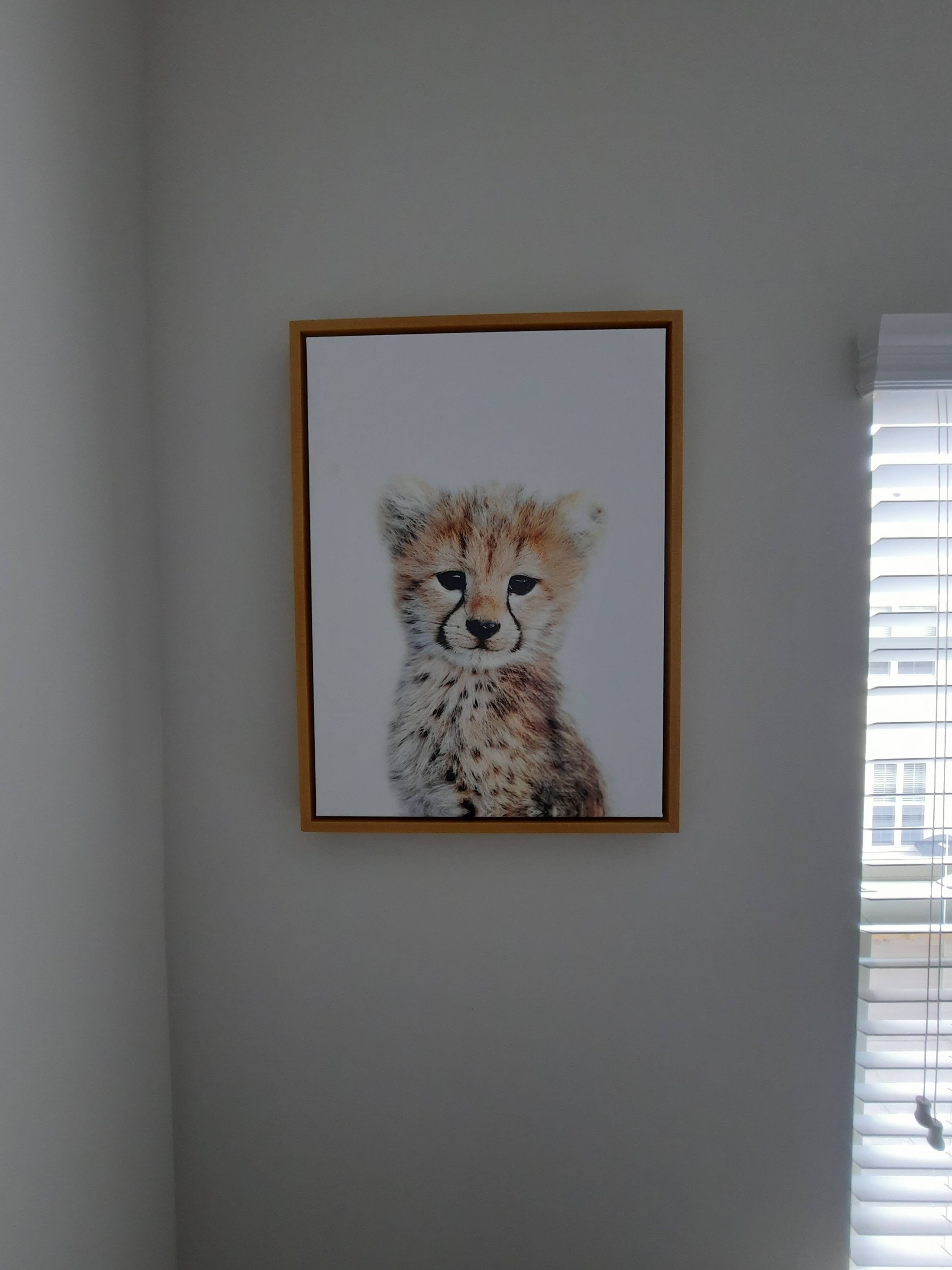 Project photo 27