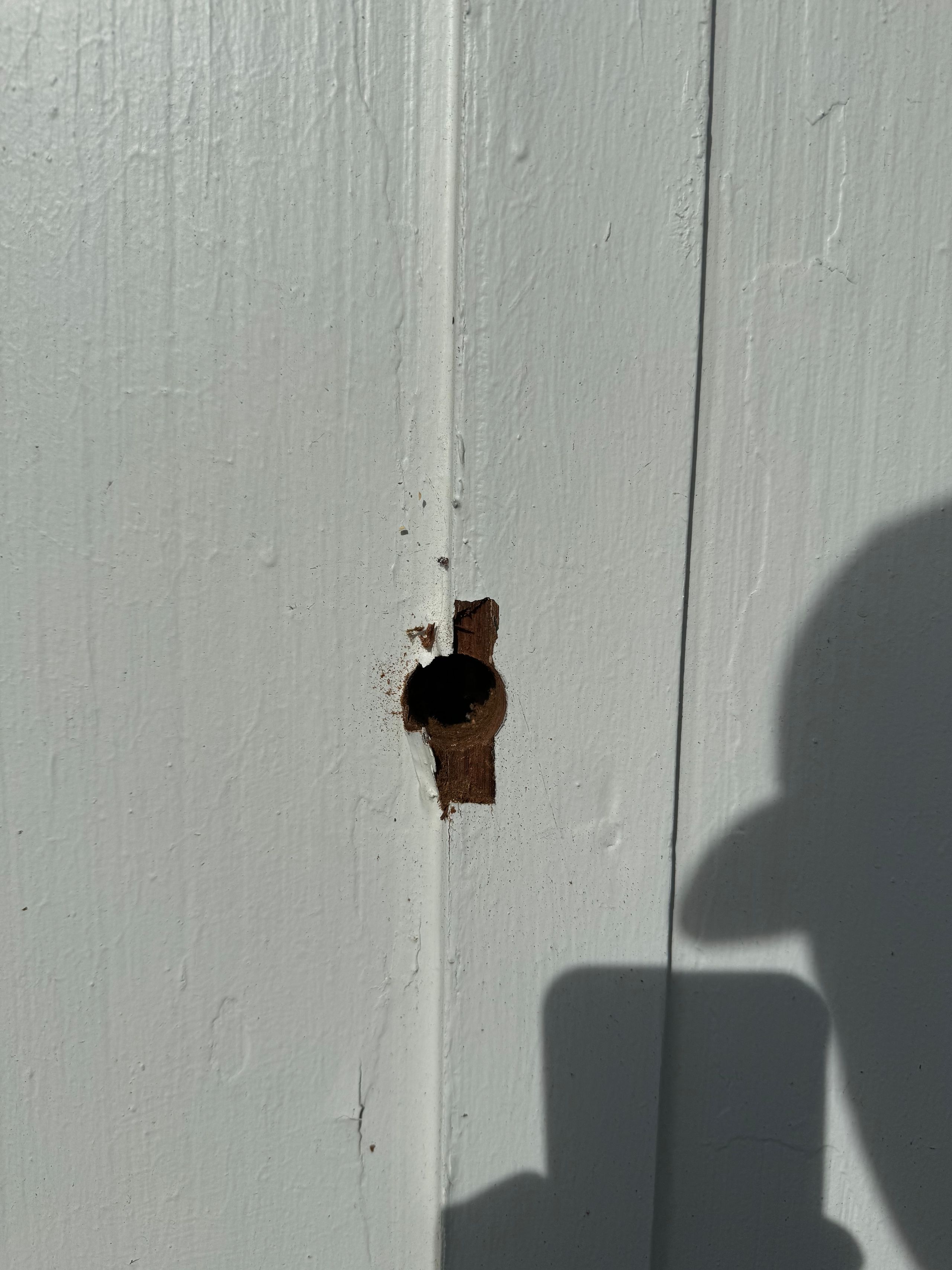 Project photo 28