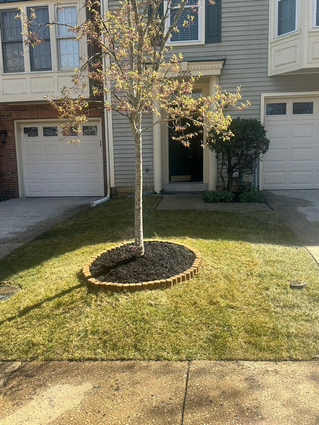 Project photo 1