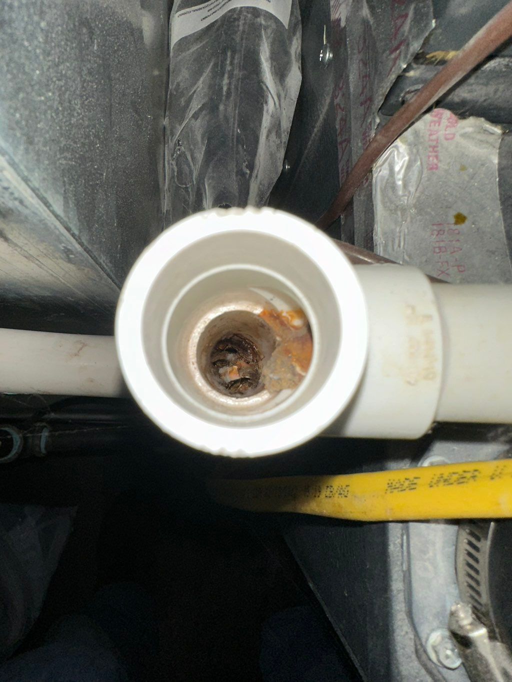 Project photo 100