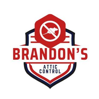 Brandon's Attic Rodent Control