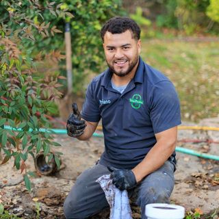 Lemus Plumbing