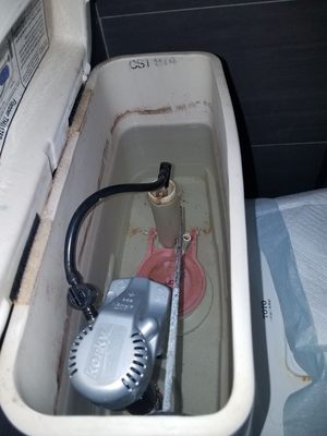 Project photo 7