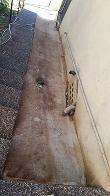 Project photo 15