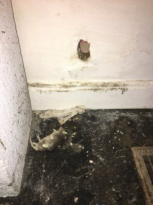 Project photo 15