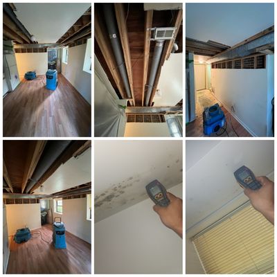 Project photo 6