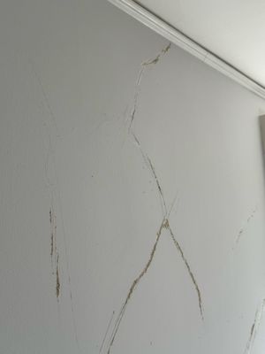 WAG Contractor
