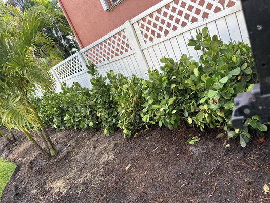 The Bless Landscaping