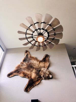 Synergy Electricians