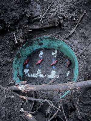 Septic Response