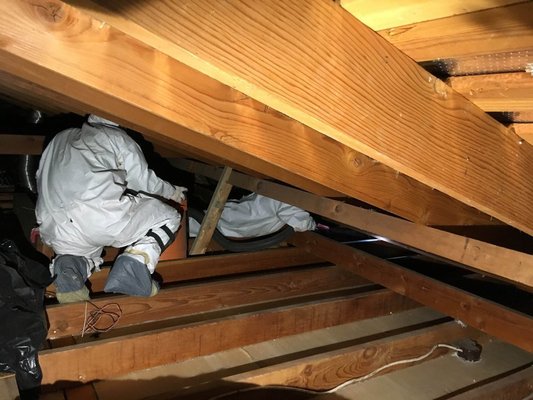 Attic Star